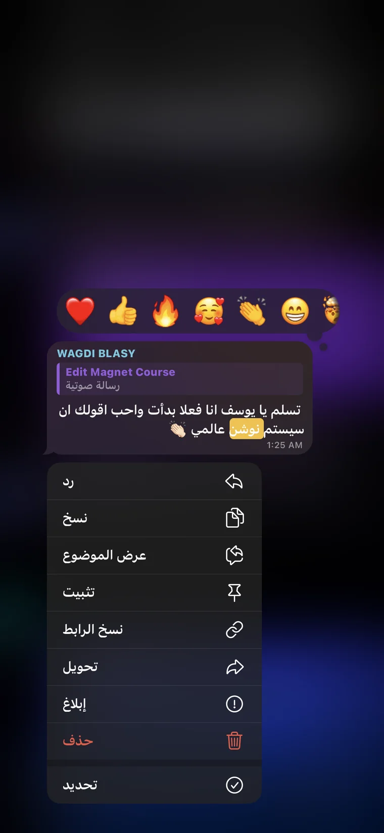 رأي WAGDI BLASY في السيستم